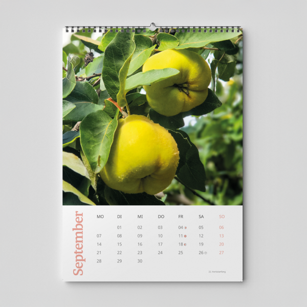 Kleingartenkalender 2026 – Bild 2